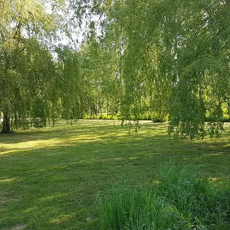 Du Vieux Saule 1 Avec Privatif Pour 2 Personnes 1 Familiale Sans 펜션 Vieil-Hesdin