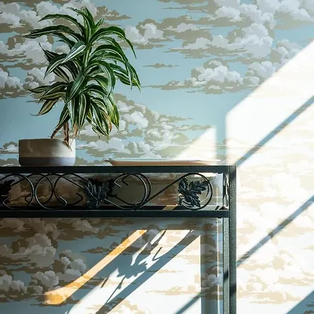 別荘 Du Vieux Saule 1 Avec Privatif Pour 2 Personnes 1 Familiale Sans *